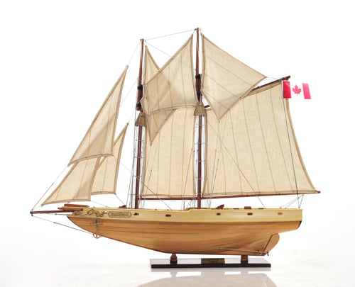 Bluenose 11 Fully assembled  L60  Y211